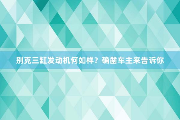 别克三缸发动机何如样？确凿车主来告诉你