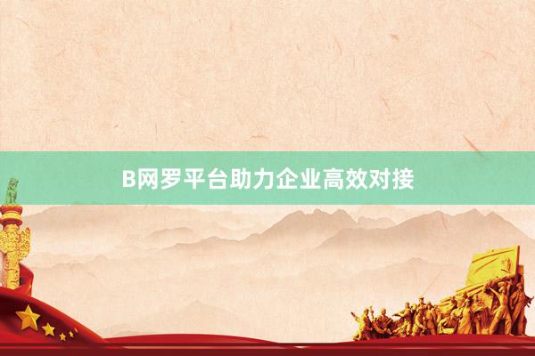 B网罗平台助力企业高效对接